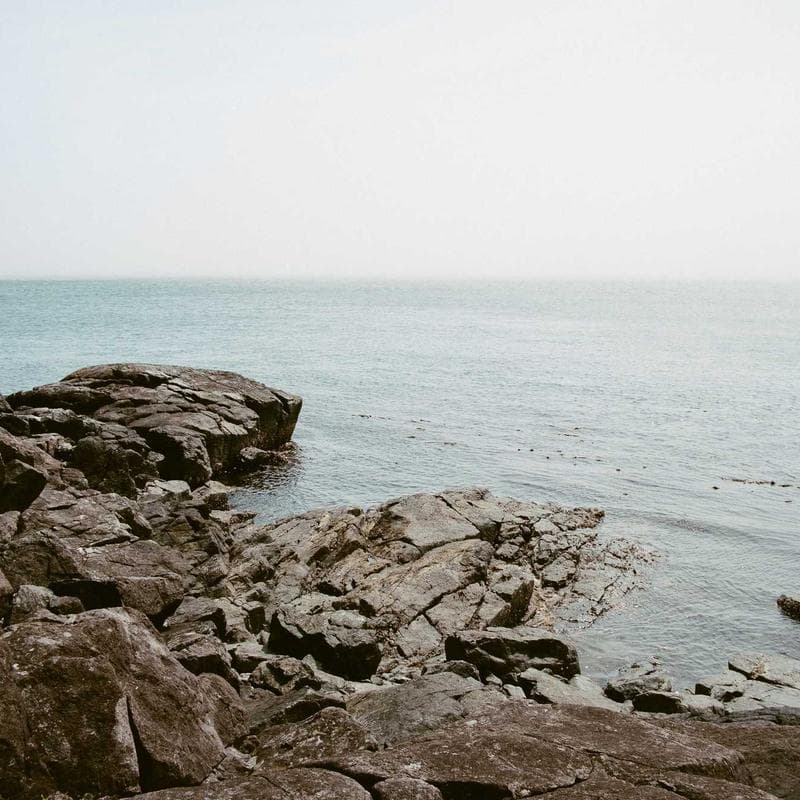حركة ونشاط